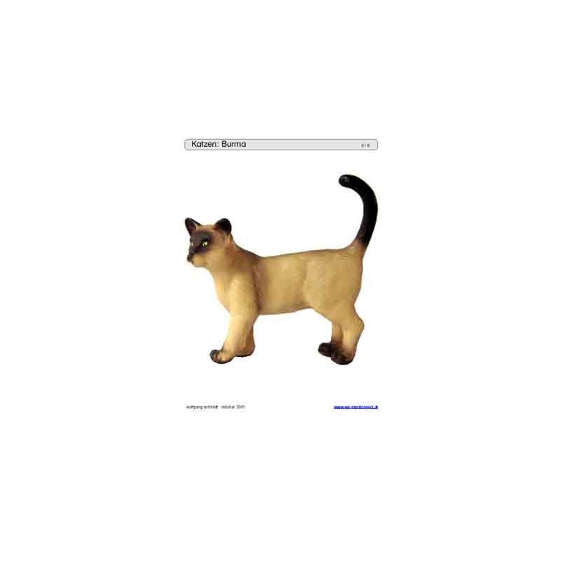 Schiebe- und Aufdeckspieleinlagen - Katzen