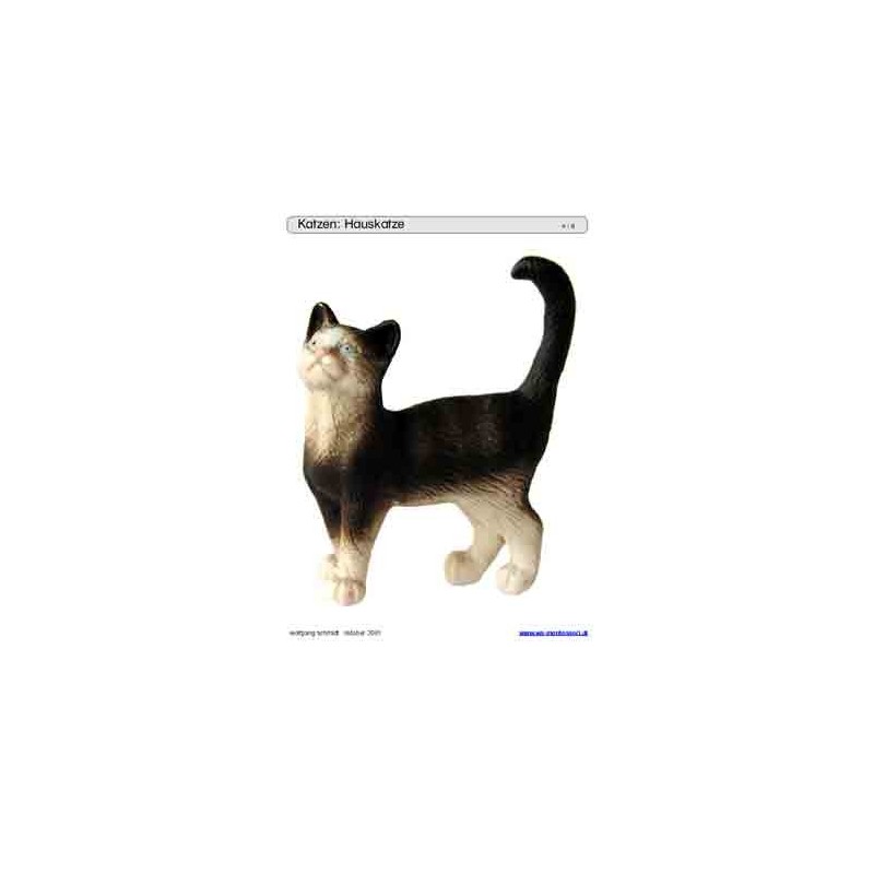Schiebe- und Aufdeckspieleinlagen - Katzen