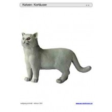 Posuvné a odkrývajúce vložky do hry - mačky