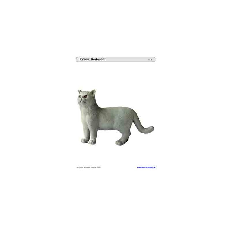 Schiebe- und Aufdeckspieleinlagen - Katzen