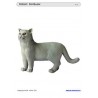 Schiebe- und Aufdeckspieleinlagen - Katzen