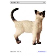 Schiebe- und Aufdeckspieleinlagen - Katzen