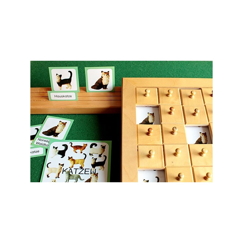Schiebe- und Aufdeckspieleinlagen - Katzen