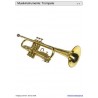 Schiebe- und Aufdeckspieleinlagen - Musikinstrumente