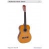 Schiebe- und Aufdeckspieleinlagen - Musikinstrumente