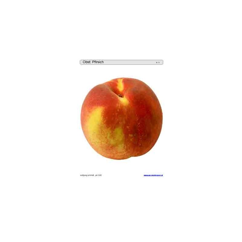 Sliding and turndown inserts - fruit