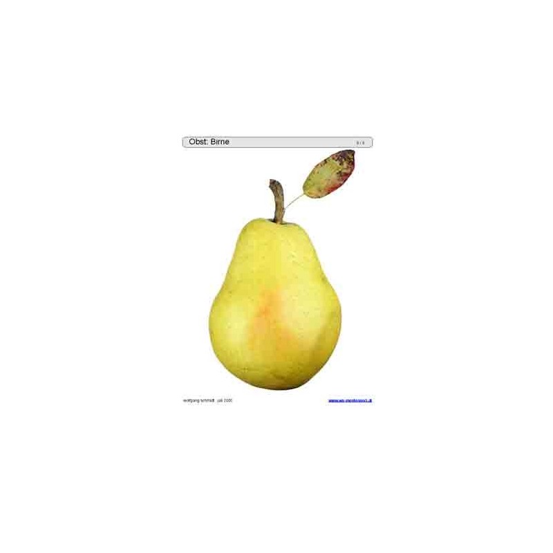 Sliding and turndown inserts - fruit