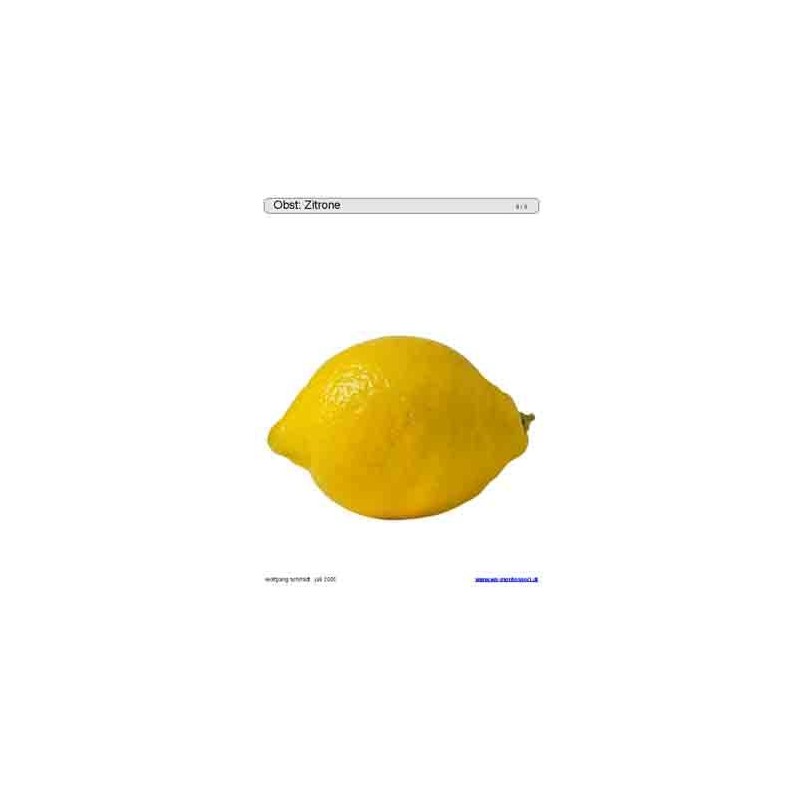 Schiebe- und Aufdeckspieleinlagen - Obst