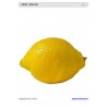 Sliding and turndown inserts - fruit