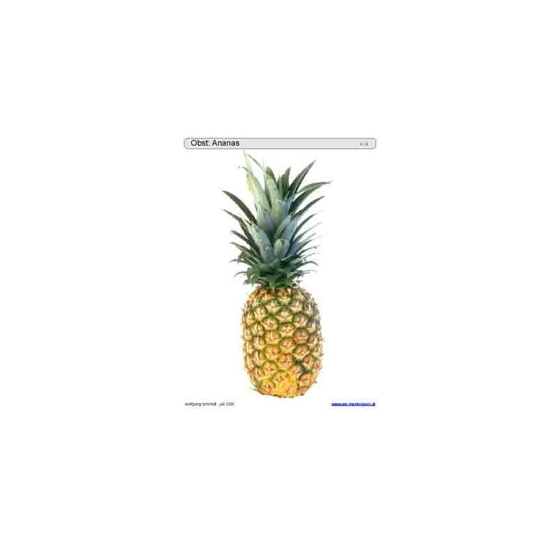 Sliding and turndown inserts - fruit