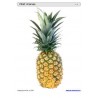 Sliding and turndown inserts - fruit