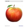 Sliding and turndown inserts - fruit