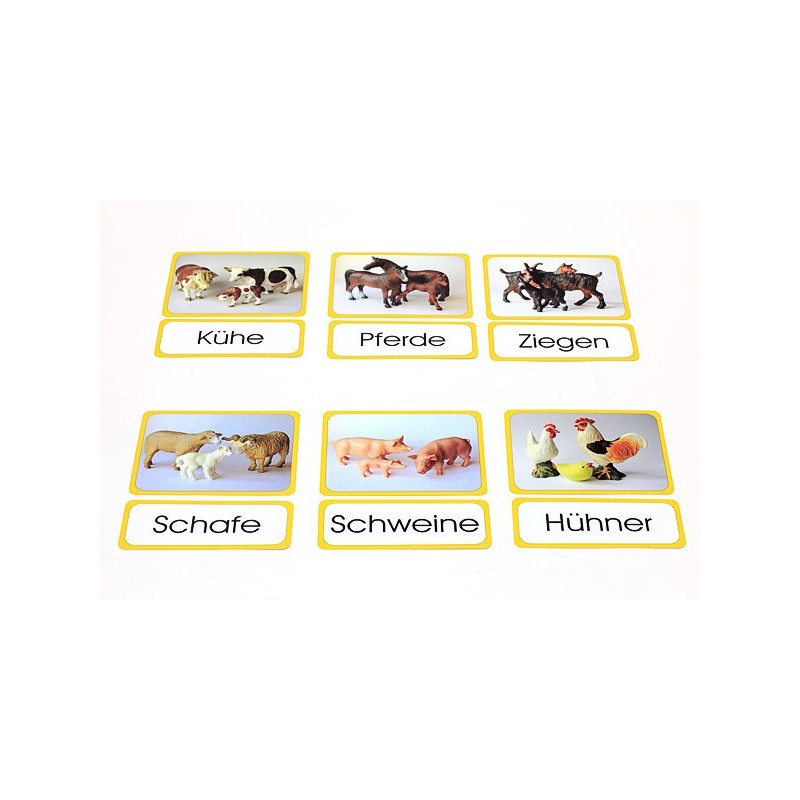 Animal families (This item is available in english)