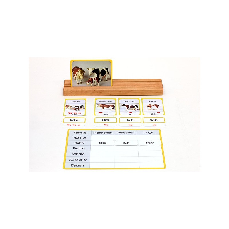 Animal families (This item is available in english)