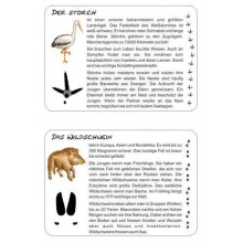 Tierspuren