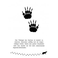 Tierspuren