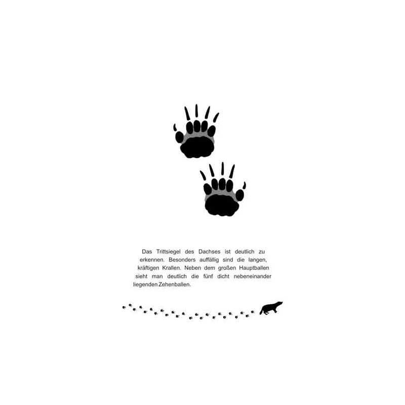 Animal tracks