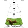 Tierspuren