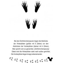 Tierspuren