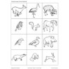 Animal tracks