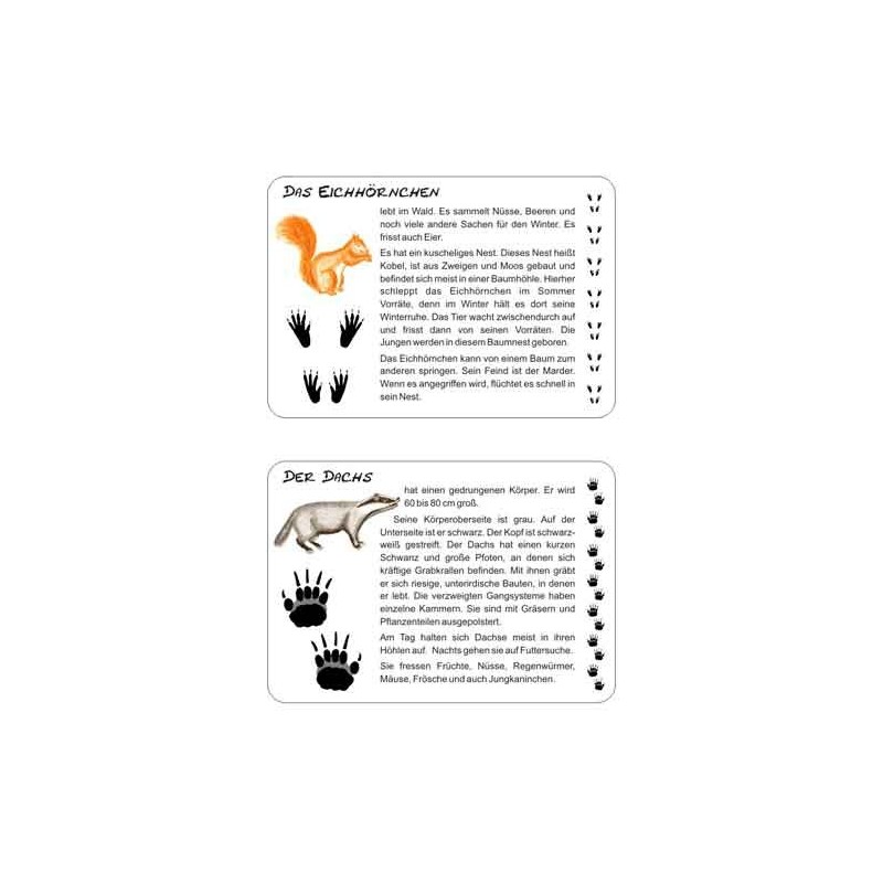 Stopy zvierat