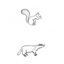 Animal tracks