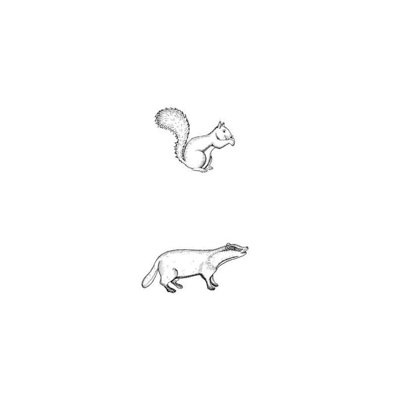 Tierspuren