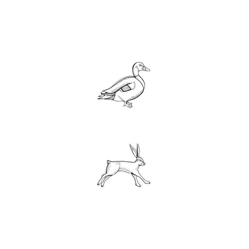 Tierspuren