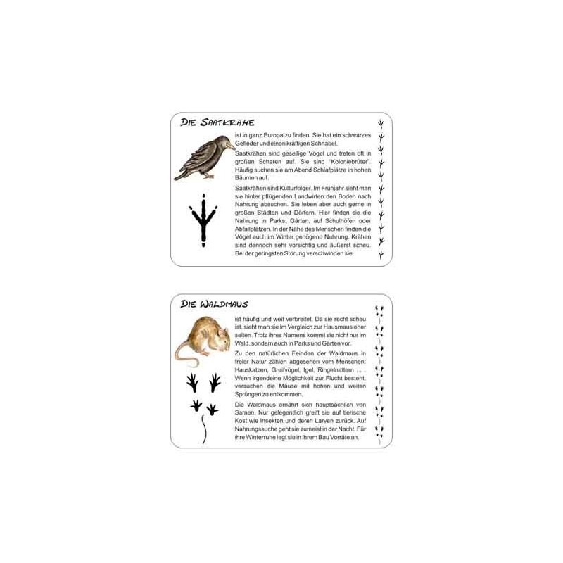 Tierspuren