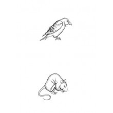 Tierspuren