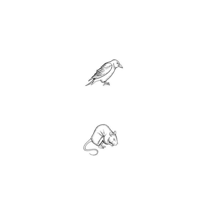Tierspuren