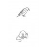 Tierspuren