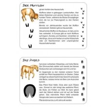Tierspuren
