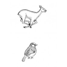 Tierspuren