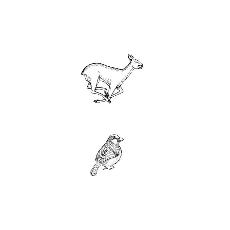 Tierspuren