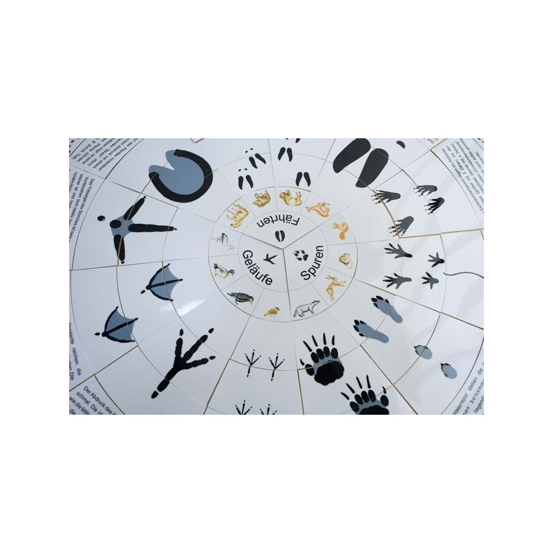 Animal tracks