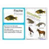Vertebrates (This item is available in english)