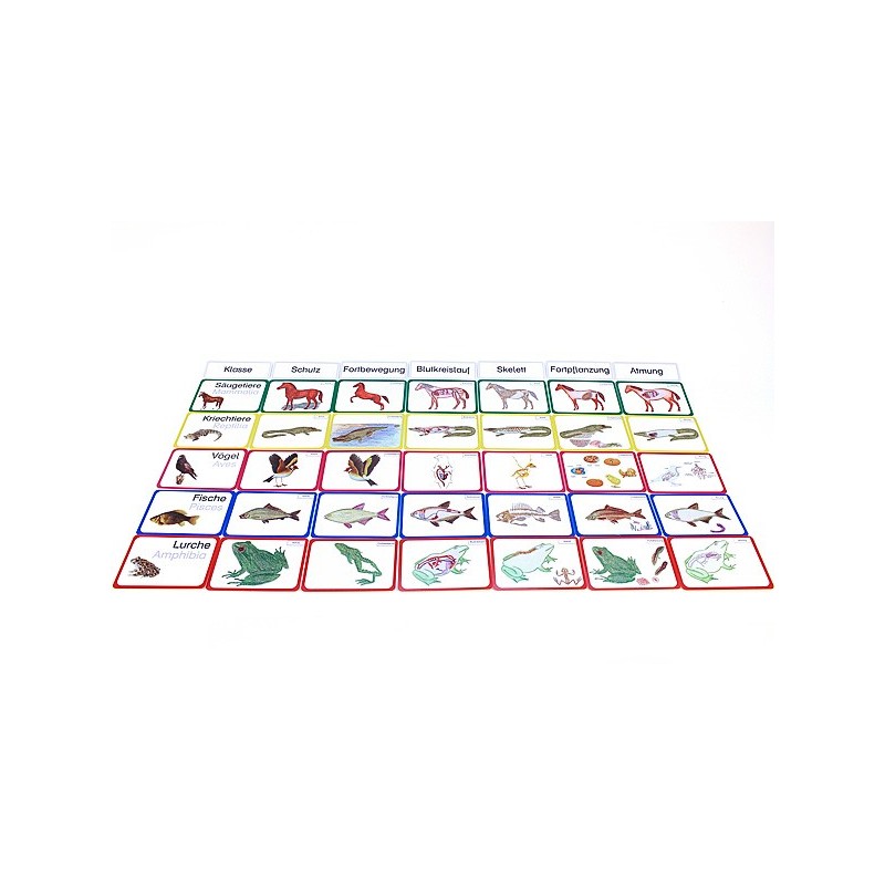 Vertebrates (This item is available in english)