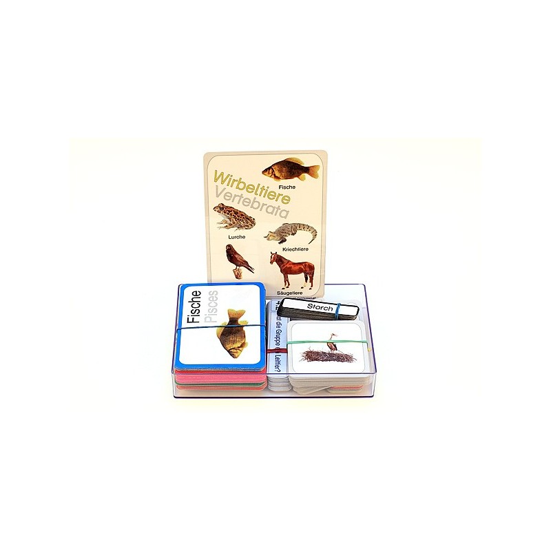 Vertebrates (This item is available in english)