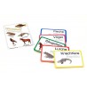 Vertebrates (This item is available in english)